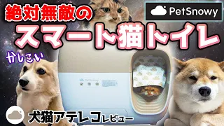 【犬猫アテレコ】かしこい猫トイレPetSnowyがやってきた!!【ペットスノーイー】