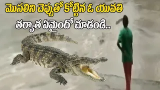 మొసలకి యువతి చెప్పు దెబ్బ..Woman Shoos Away four-metre-long crocodile with her flip-flop| H6 NEWS