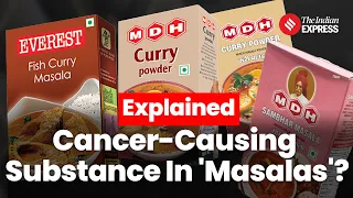 MDH Everest Masala News: Why These Masalas Are Banned In Hong Kong, Singapore?