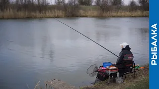 ВЕДРО карася за ДВА часа. Весенняя рыбалка на маховую удочку