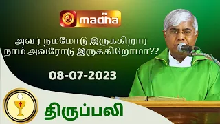 🔴 LIVE  08 JULY 2023 Holy Mass in Tamil 06:00 PM (Evening Mass) | Madha TV