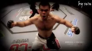 Gabriel Gonzaga vs. Mirko Cro Cop by svn