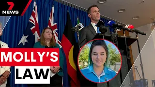 NSW expected to announce crackdown on state’s worst domestic violence offenders | 7 News Australia
