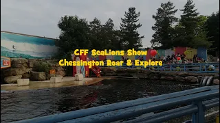 CCF Sea Lions Show | Chessington Roar & Explore
