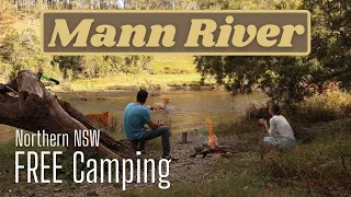 Northern NSW best free camp?