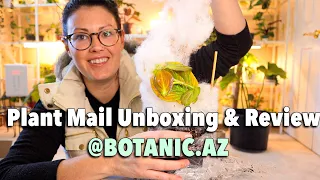 Plant Unboxing & Review From Botanicaz - Houseplant Unboxing - Wishlist Plants