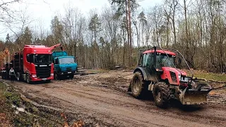 Logging | We cut the last thicker trees, Stihl ms 462, Zetor Proxima, Amles, Forestwork,