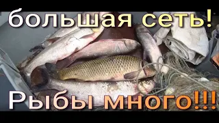 Снимаю сеть 200 метров. Ячея 80 мм. Рыбалка по большой воде. Рыбалка на Амуре. net fishing