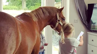 Pony Has Been In Love With Little Girl Since She Was Born | The Dodo