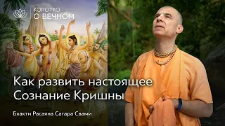 Как связать всю свою жизнь с Кришной