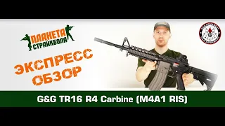 Обзор M4A1 RIS (TR16 R4 Carbine) от G&G