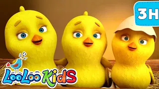 Ultimate Little Chicks 3-Hour Compilation | LooLoo Kids Nursery Rhymes