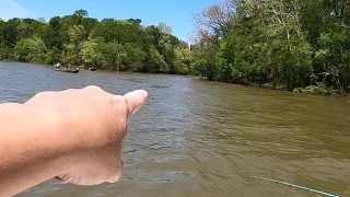 Where to Catch 100 Stripers a Day! BUT BE CAREFUL!