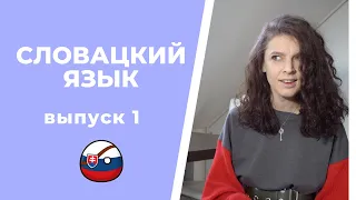 Особенности словацкого языка. Легко ли учить словацкий?