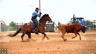 Jade Corkill Practice Session | X Factor Team Roping