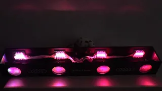 Аналог American DJ Revo Xpress - 4 х 64 LED, DMX-управление, звуковая активация.