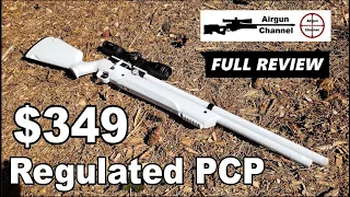 the Original AVENGER (Full Review) Can the AVENGE-X Compete? Air Venturi's Regulated PCP Rifle