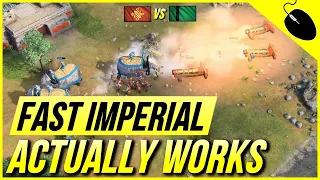 Age of Empires 4 - Fast Imperial Is Now META?!