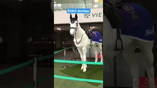 new technologies in Japan, robot horse, робот в Японии #japan #robot #2023 #2024 #animals #usa #new