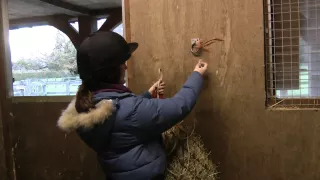PONY How-To: Tying up a haynet
