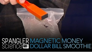 Magnetic Money - Dollar Bill Smoothie - Cool Science Experiment