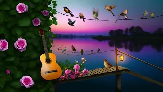 Bird Chirping with Classic Guitar & Violin | Deep Zen, Yoga & Meditation