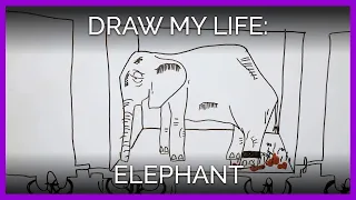 Draw My Life: Elephant Edition | PETA