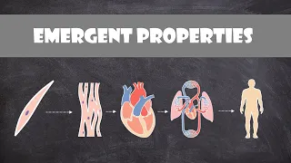 Emergent Properties | Cell Biology