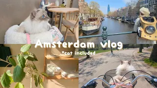 Amsterdam vlog ~ ragdoll cat company, café ASMR, cycling with a cat