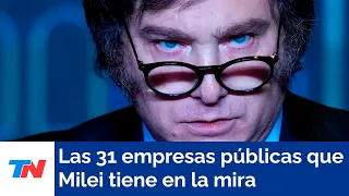 Las 31 empresas públicas que Milei tiene en la mira recibieron giros por U$S5000 millones en 2023