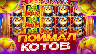 ЗАКРЫЛ В БОНУСКЕ ЛИНИЮ ДОРОГИХ КОТОВ! ЗАНОСЫ НЕДЕЛИ В CLEOCATRA!