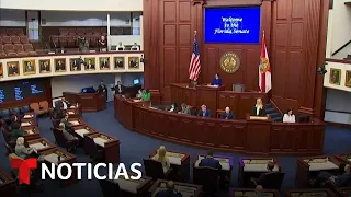 Senado de Florida aprueba ley contra la inmigración ilegal | Noticias Telemundo