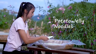 Harvesting My Homegrown Potatoes and Making Jelly Noodles!