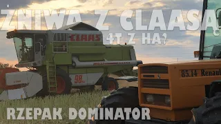 ☆🌾Żniwa rzepaku z Claasą!🌾 4t z ha? Claas Dominator 98 maxi sl & Renault 85.14☆