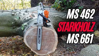 Stihl MS 261 | MS 462 | MS 661 vs. Sturmholz #stihl