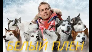 #БелыйПлен Белый плен Eight Below, 2006 #викторинаПоФильму