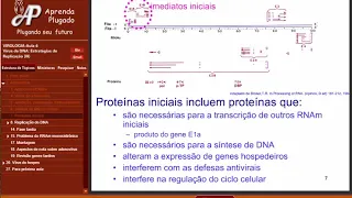 Curso de VIROLOGIA - Aula 06 de Virologia Vírus de DNA Estratégias de Replicação 3