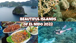 Affordable Island tour in El Nido | Ape tours | (Stunning Views✨+Overflowing Food!🤤) | Davalwu TV