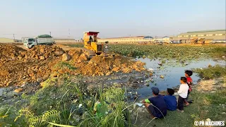 Processing Connection 100% Land Filling Project With 5T Trucks & Dozer D31P Pushing Stone Into Water