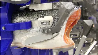 See How Salmon Fillet Are Made in Factory | Complete Automated Process Technology