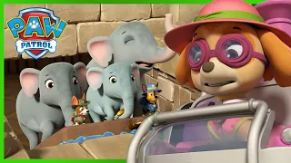 Jungle Rescue Pups save the Elephant family and more! - PAW Patrol UK Cartoons for Kids Compilation