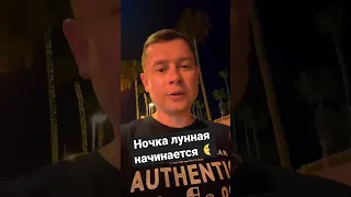 Ночка лунная начинается 🌜🌃