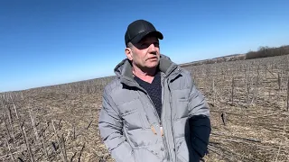 Андрій Усов. No-till. Господарство в якому не використовують мін.добрива, фунгіциди та інсектициди.