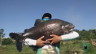 Canal Tamba Doido TV  - Pesqueiro Anzol de Ouro -  Pai e Filho