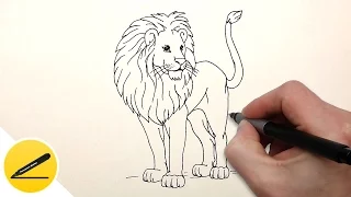 How to Draw a Lion step by step | Drawing animals | Step-by-Step Drawing