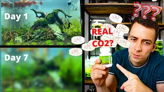 I TRIED CO2 TABLETS FOR 7 DAYS AND THIS IS WHAT HAPPENED...