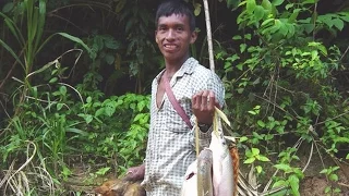 The Tsimane people: have the lowest rates of heart disease.