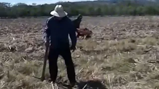 Un día de trabajo en el campo.