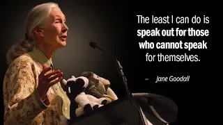 'Lessons from Nature' met Jane Goodall, 2019