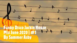 Funky Disco Groove House Mix June 2020 (House Music 2020)